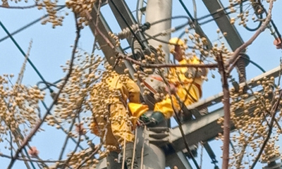 10KV華廣，華高雙回帶電拆火