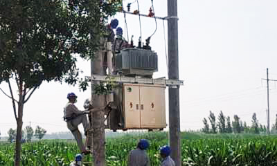 東營區(qū)牛莊鎮(zhèn)10kV張店村4號臺區(qū)新建工程
