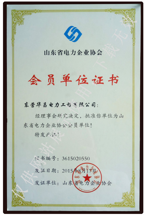 電力協(xié)會-2.jpg