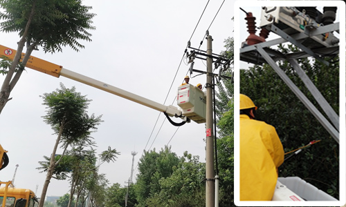 辛天線22號桿拆處避雷器及引線