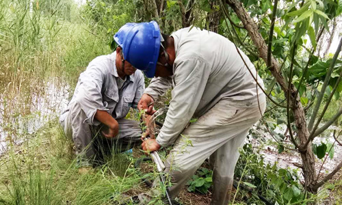 10KV現(xiàn)河線搶修完成，送電成功