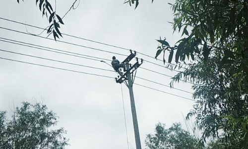 10kV現(xiàn)河線36#桿中項(xiàng)線雷擊落地，完成搶修