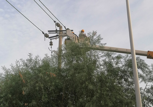 2021年8月19日，嘉揚(yáng)Ⅰ線靜港支線#11桿帶電拆除引線